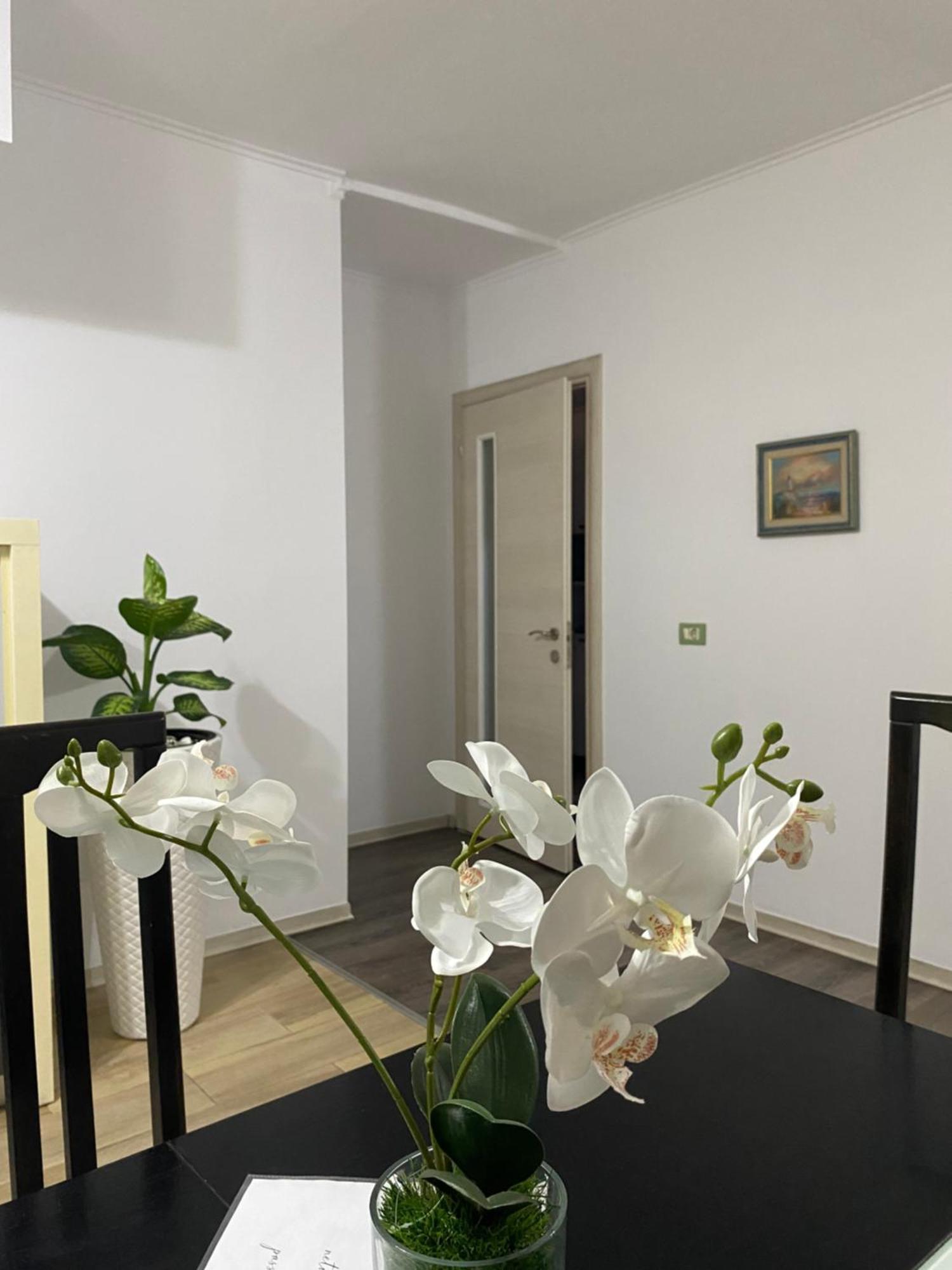 Main Apartment Tirana Exterior photo